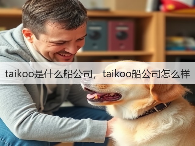 taikoo是什么船公司，taikoo船公司怎么样(图3)