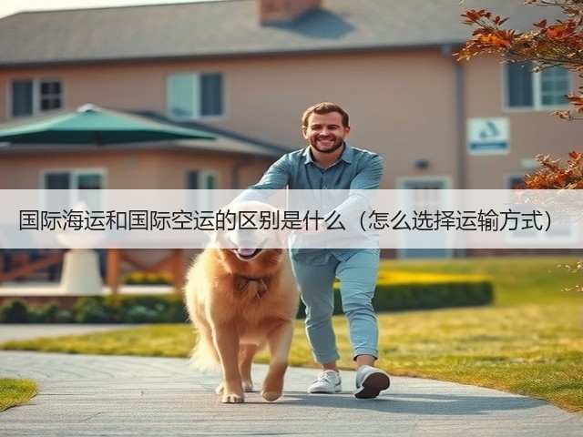 国际海运和国际空运的区别是什么（怎么选择运输方式）(图1)