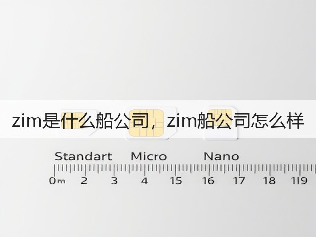 zim是什么船公司，zim船公司怎么样(图2)