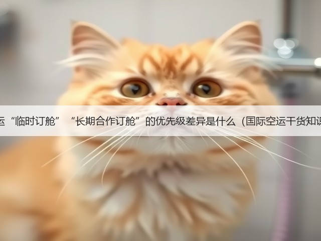 国际空运“临时订舱”“长期合作订舱”的优先级差异是什么(国际空运干货知识分享)(图1) 国际空运“临时订舱”“长期合作订舱”的优先级差异是什么(国际空运干货知识分享)(图1)