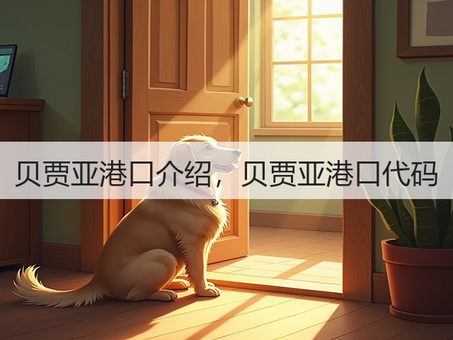 贝贾亚港口介绍，贝贾亚港口代码(图1)