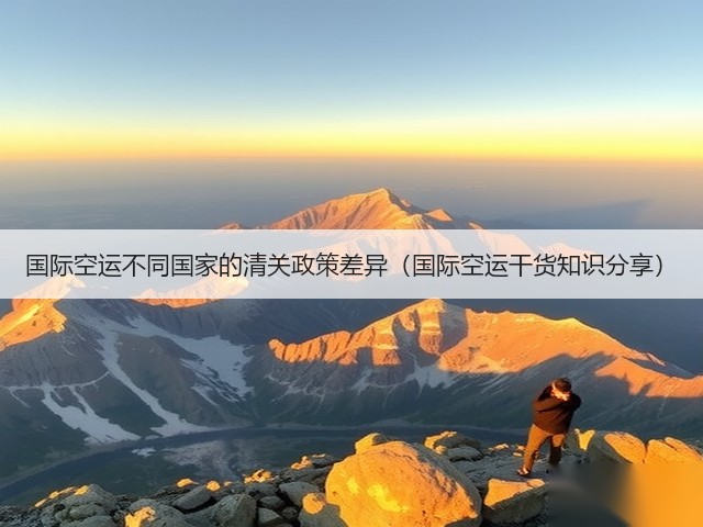 国际空运不同国家的清关政策差异（国际空运干货知识分享）(图1)