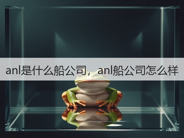 anl是什么船公司，anl船公司怎么样(图3)