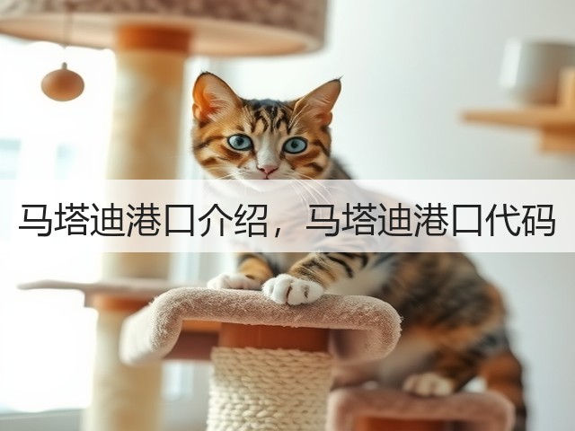 马塔迪港口介绍，马塔迪港口代码(图1)