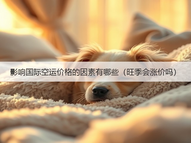 影响国际空运价格的因素有哪些(旺季会涨价吗)(图2) 影响国际空运价格的因素有哪些(旺季会涨价吗)(图2)