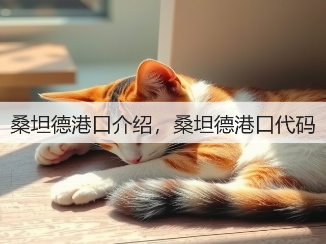 桑坦德港口介绍，桑坦德港口代码(图1)