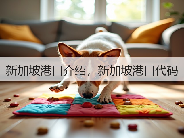 新加坡港口介绍，新加坡港口代码(图1)