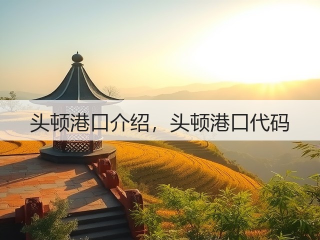 头顿港口介绍，头顿港口代码(图3)