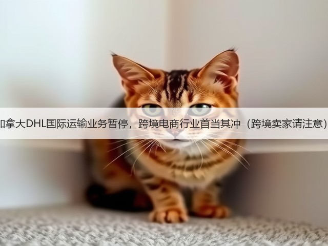 加拿大DHL国际运输业务暂停,跨境电商行业首当其冲(跨境卖家请注意)(图1) 加拿大DHL国际运输业务暂停,跨境电商行业首当其冲(跨境卖家请注意)(图1)