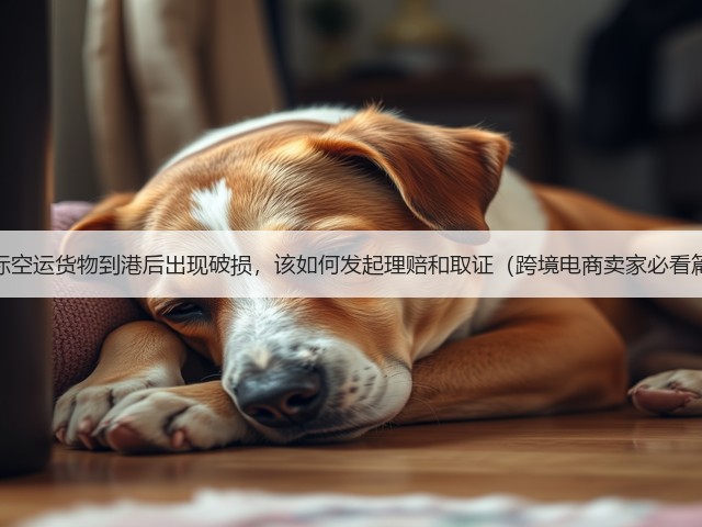 国际空运货物到港后出现破损，该如何发起理赔和取证（跨境电商卖家必看篇）(图3)