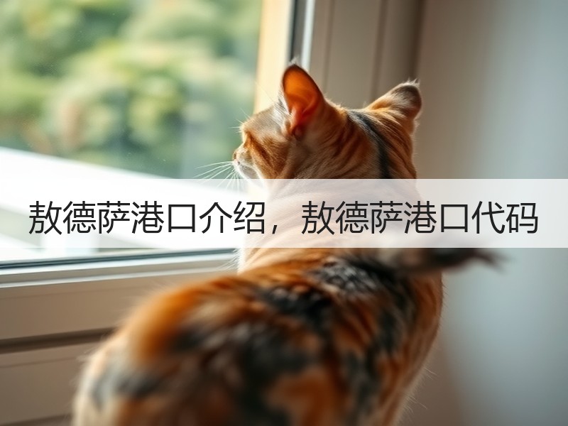 敖德萨港口介绍，敖德萨港口代码