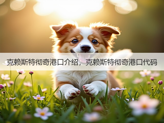 克赖斯特彻奇港口介绍，克赖斯特彻奇港口代码(图1)