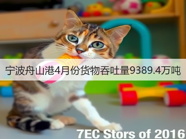 宁波舟山港4月份货物吞吐量9389.4万吨(图2) 宁波舟山港4月份货物吞吐量9389.4万吨(图2)