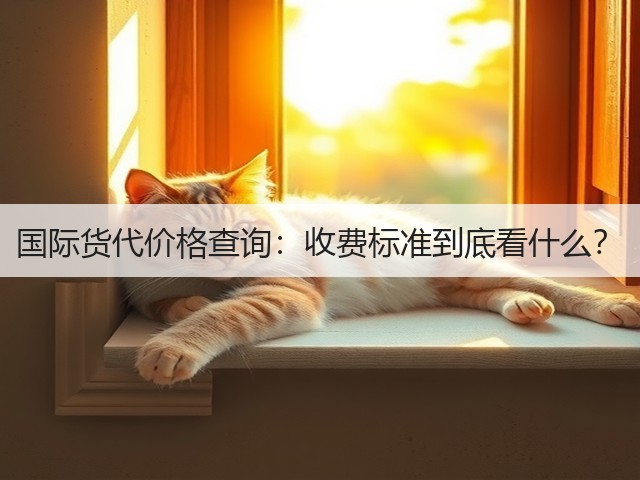 国际货代价格查询：收费标准到底看什么？(图1)