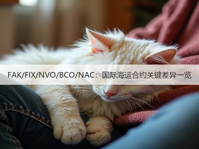 FAK/FIX/NVO/BCO/NAC：国际海运合约关键差异一览(图2)