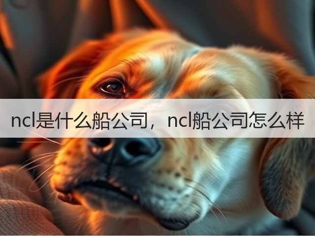 ncl是什么船公司，ncl船公司怎么样(图2)
