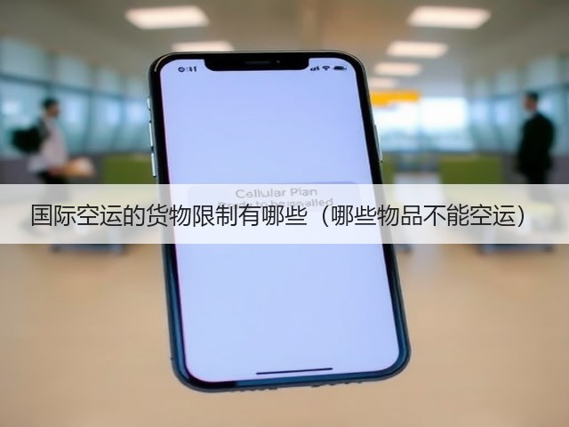 国际空运的货物限制有哪些(哪些物品不能空运)(图1) 国际空运的货物限制有哪些(哪些物品不能空运)(图1)