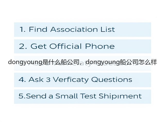 dongyoung是什么船公司，dongyoung船公司怎么样(图1)
