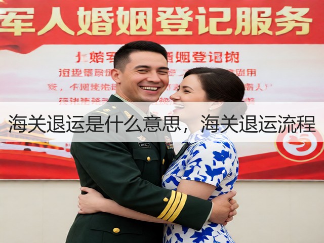 海关退运是什么意思，海关退运流程(图1)