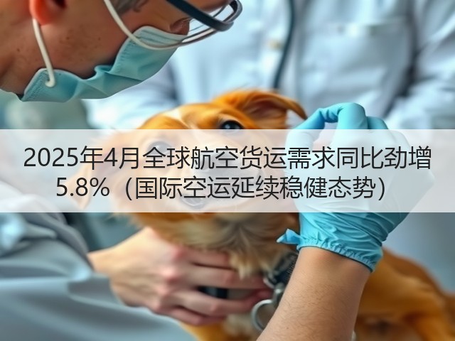 2025年4月全球航空货运需求同比劲增 5.8%（国际空运延续稳健态势）(图3)