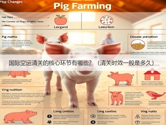 国际空运清关的核心环节有哪些?(清关时效一般是多久)(图3) 国际空运清关的核心环节有哪些?(清关时效一般是多久)(图3)