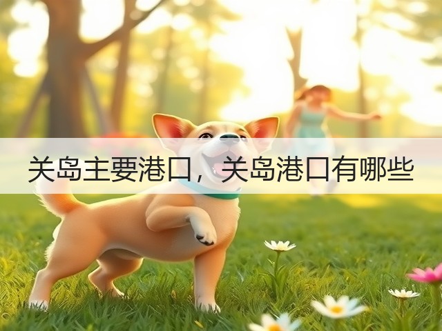 关岛主要港口，关岛港口有哪些(图2)