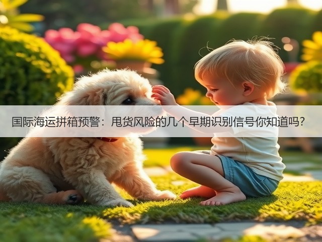 国际海运拼箱预警:甩货风险的几个早期识别信号你知道吗?(图3) 国际海运拼箱预警:甩货风险的几个早期识别信号你知道吗?(图3)