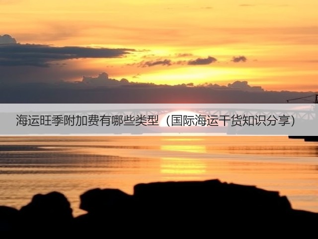海运旺季附加费有哪些类型（国际海运干货知识分享）(图3)