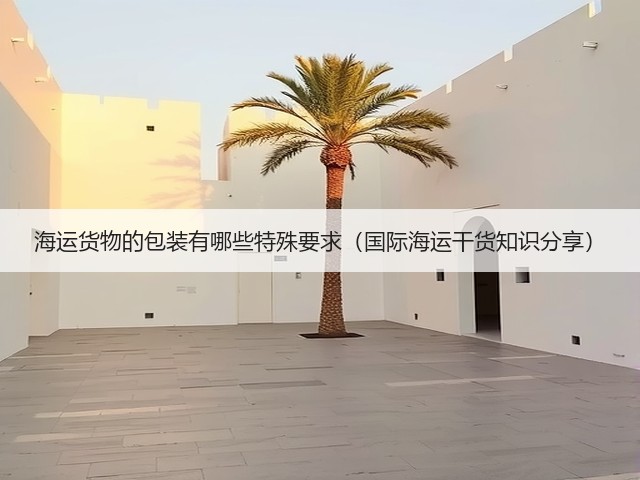 海运货物的包装有哪些特殊要求（国际海运干货知识分享）(图2)