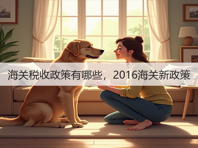 海关税收政策有哪些，2016海关新政策(图2)