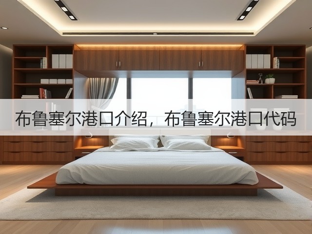 布鲁塞尔港口介绍，布鲁塞尔港口代码(图1)