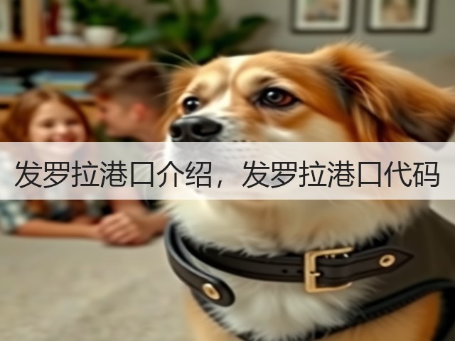 发罗拉港口介绍，发罗拉港口代码(图1)