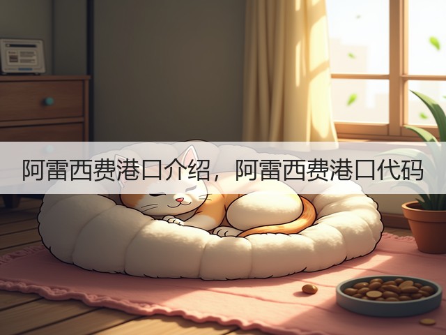 阿雷西费港口介绍，阿雷西费港口代码(图2)