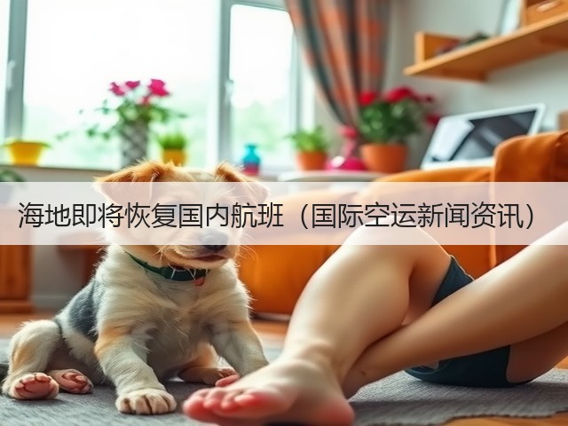 海地即将恢复国内航班（国际空运新闻资讯）(图3)
