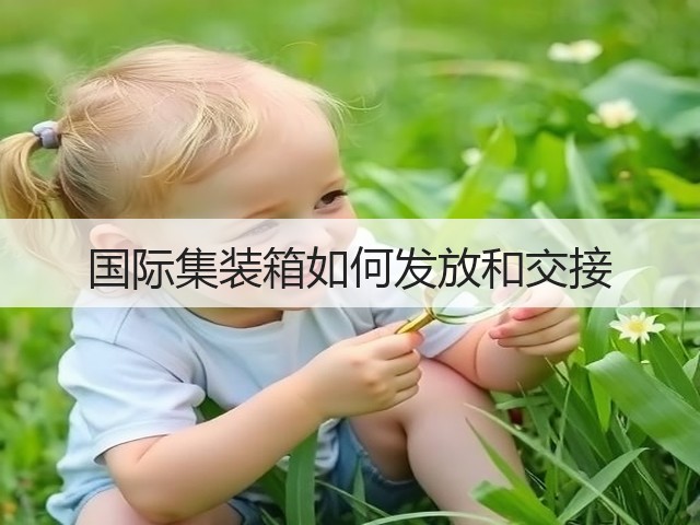 国际集装箱如何发放和交接(图2) 国际集装箱如何发放和交接(图2)