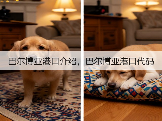 巴尔博亚港口介绍，巴尔博亚港口代码(图3)