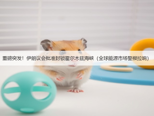 重磅突发!伊朗议会批准封锁霍尔木兹海峡(全球能源市场警报拉响)(图3) 重磅突发!伊朗议会批准封锁霍尔木兹海峡(全球能源市场警报拉响)(图3)