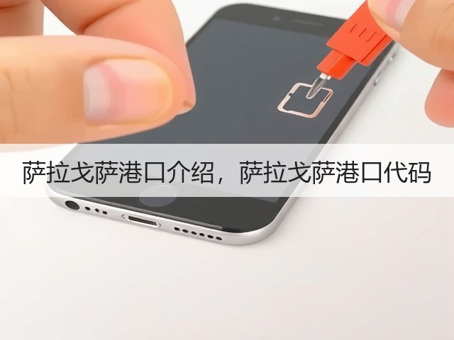 萨拉戈萨港口介绍，萨拉戈萨港口代码(图1)