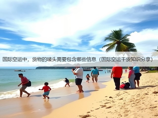 国际空运中,货物的唛头需要包含哪些信息(国际空运干货知识分享)(图3) 国际空运中,货物的唛头需要包含哪些信息(国际空运干货知识分享)(图3)