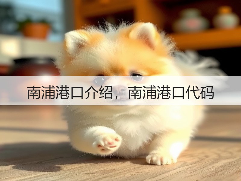 南浦港口介绍，南浦港口代码