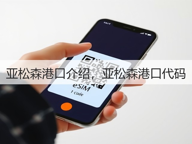 亚松森港口介绍,亚松森港口代码(图2) 亚松森港口介绍,亚松森港口代码(图2)