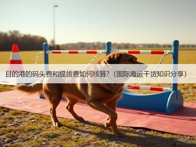 目的港的码头费和提货费如何核算?（国际海运干货知识分享）(图3)