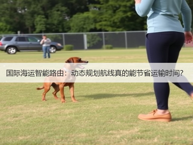 国际海运智能路由：动态规划航线真的能节省运输时间？(图3)