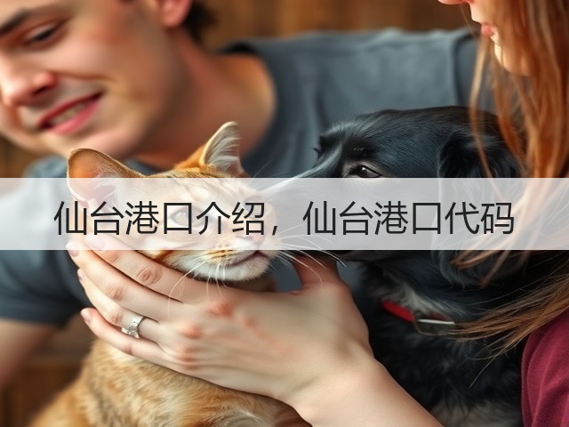 仙台港口介绍，仙台港口代码(图2)