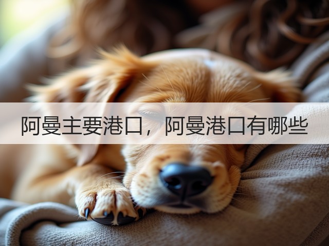 阿曼主要港口，阿曼港口有哪些(图1)