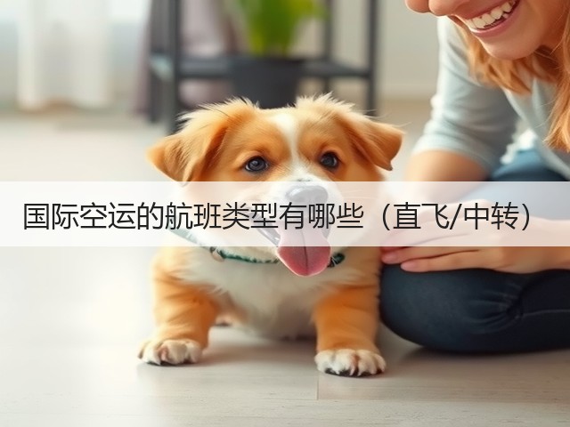 国际空运的航班类型有哪些（直飞/中转）(图1)