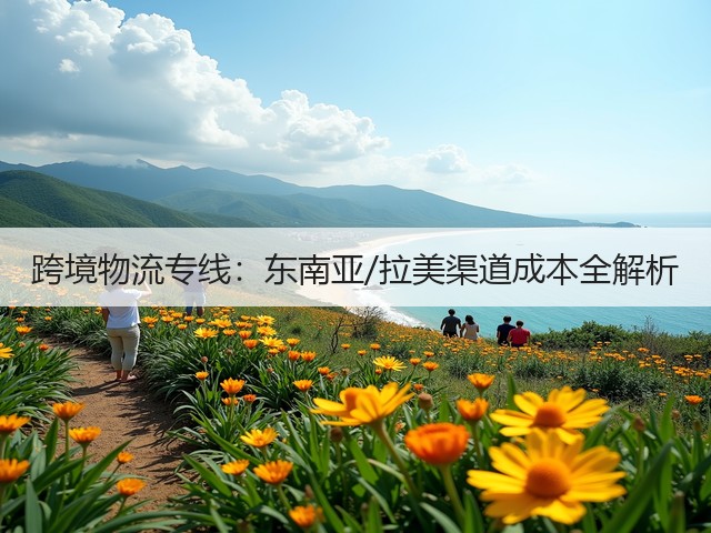 跨境物流专线：东南亚/拉美渠道成本全解析(图3)