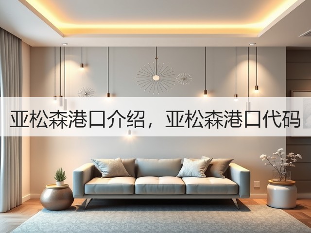 亚松森港口介绍,亚松森港口代码(图3) 亚松森港口介绍,亚松森港口代码(图3)