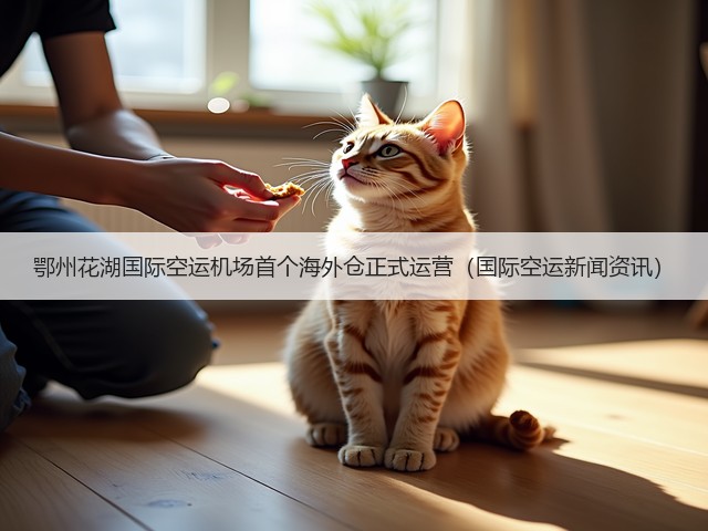 鄂州花湖国际空运机场首个海外仓正式运营(国际空运新闻资讯)(图3) 鄂州花湖国际空运机场首个海外仓正式运营(国际空运新闻资讯)(图3)