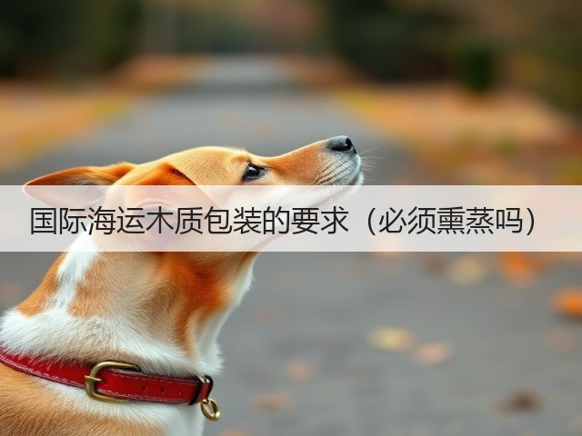 国际海运木质包装的要求（必须熏蒸吗）(图3)